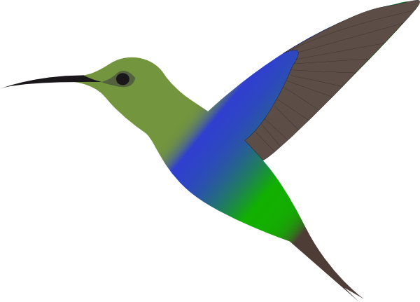 Hummingbird Clip Art At Clker Com   Vector Clip Art Online Royalty