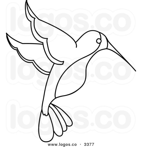 Hummingbird Clip Art   Coloring Pages   Clipart   Stamps   Stencils