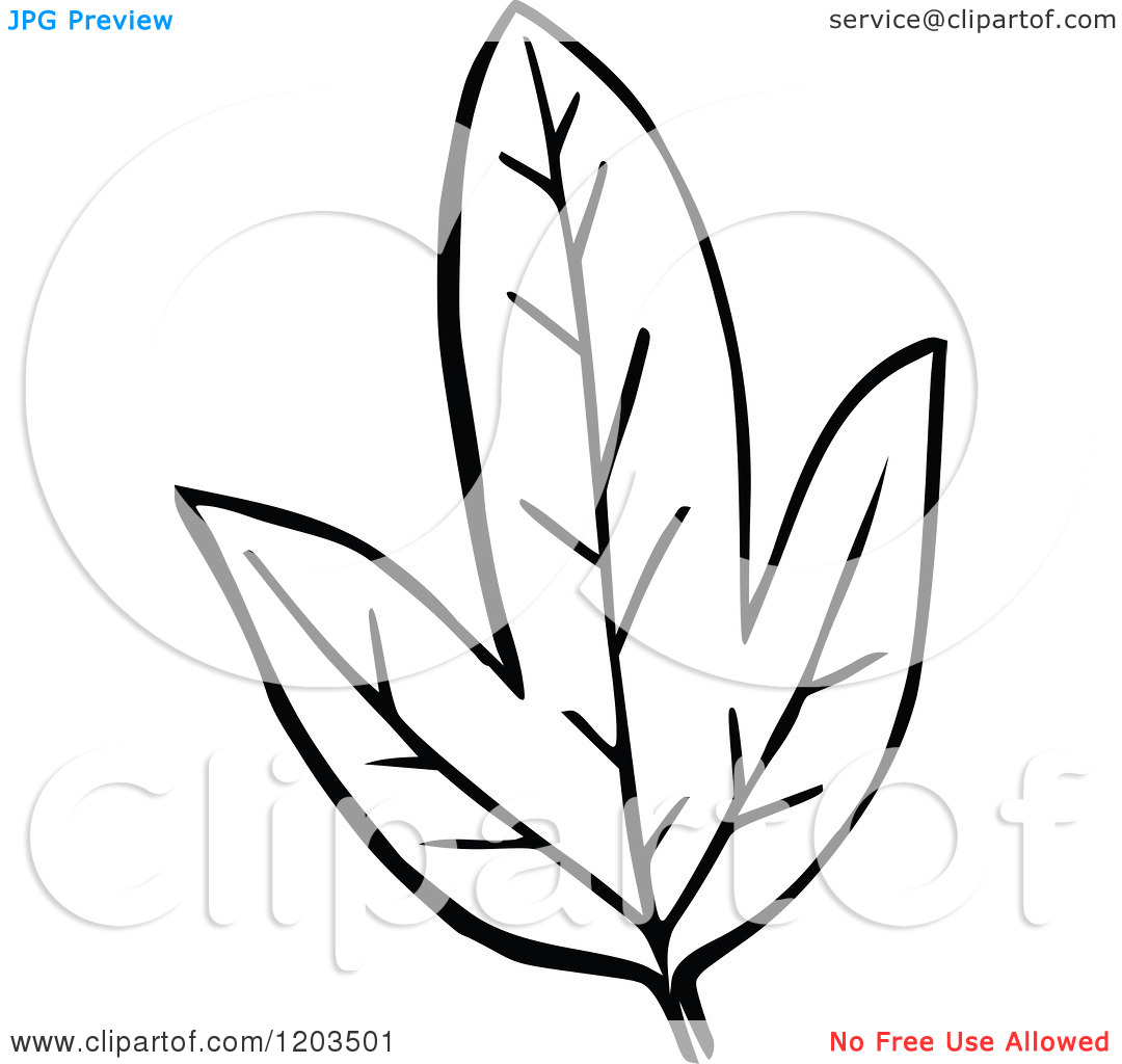 Leaf Clipart Black And White Clipart Of A Vintage Black And White Leaf