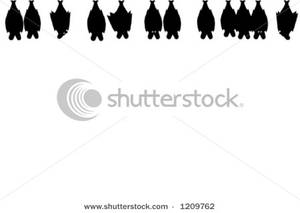 Clipart Image Of A Row Of Bats Hanging Upside Down