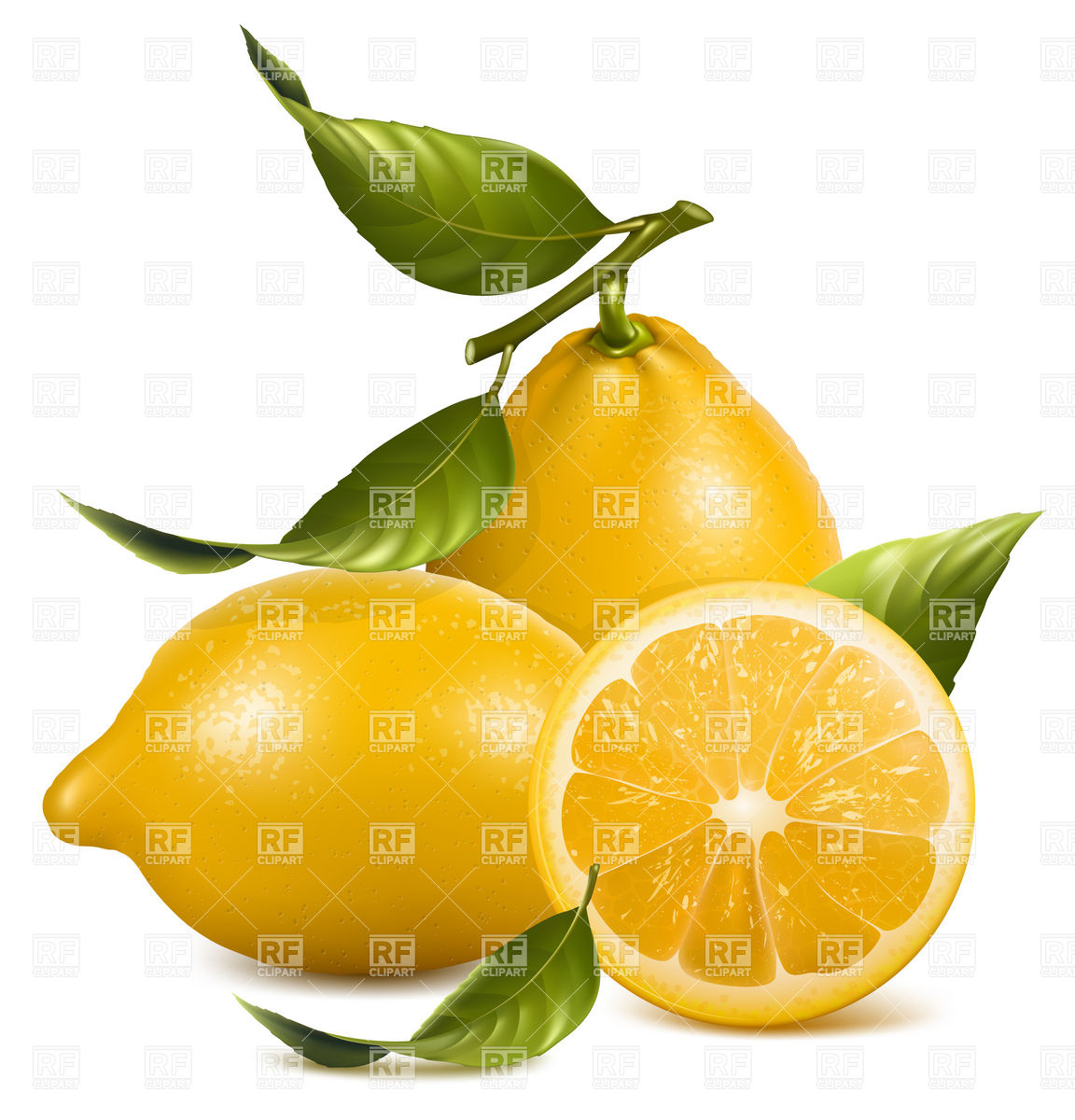 Fresh Lemons And Slices With Leaves Download Royalty Free Vector