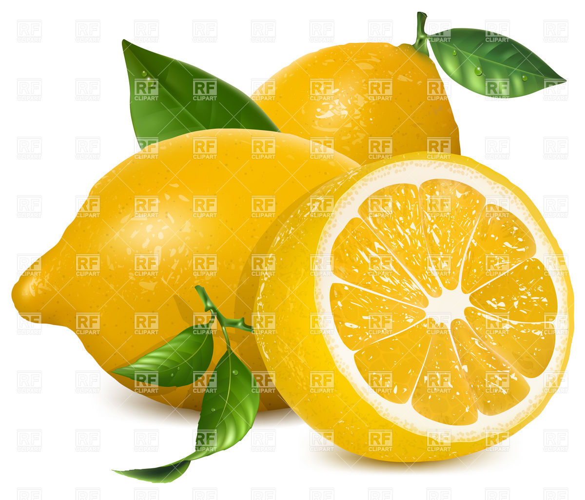 Fresh Lemons With Leaves 5103 Download Royalty Free Vector Clipart