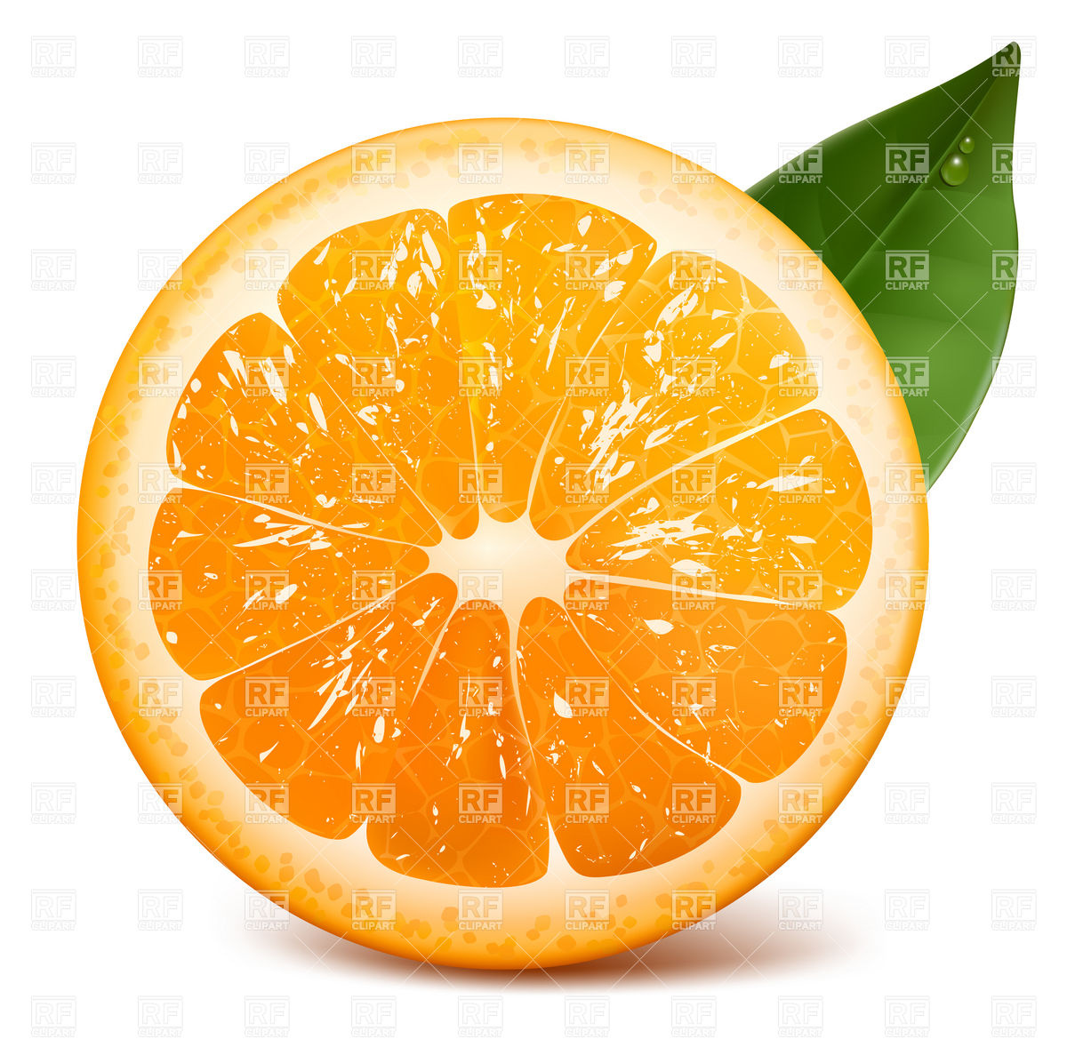 Fresh Ripe Orange With Leaf Download Royalty Free Vector Clipart  Eps