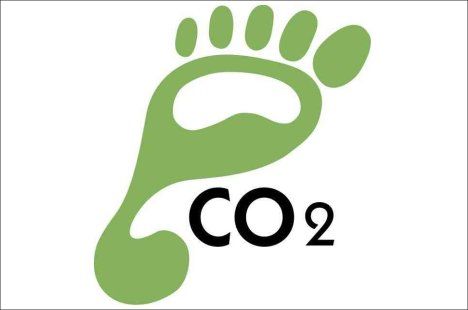 How To Reduce Your Carbon Footprint By One Ton A Year   Treehugger
