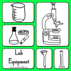 Science Clipartfree Botanical Chemistry Clipartlaboratory Clipart