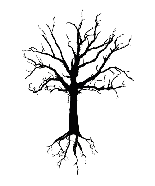 12 Tree Root Drawings Free Cliparts That You Can Download To You