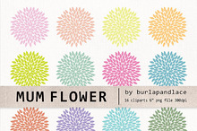 15  Mum Flower Clipart By Burlapandlace In Graphics