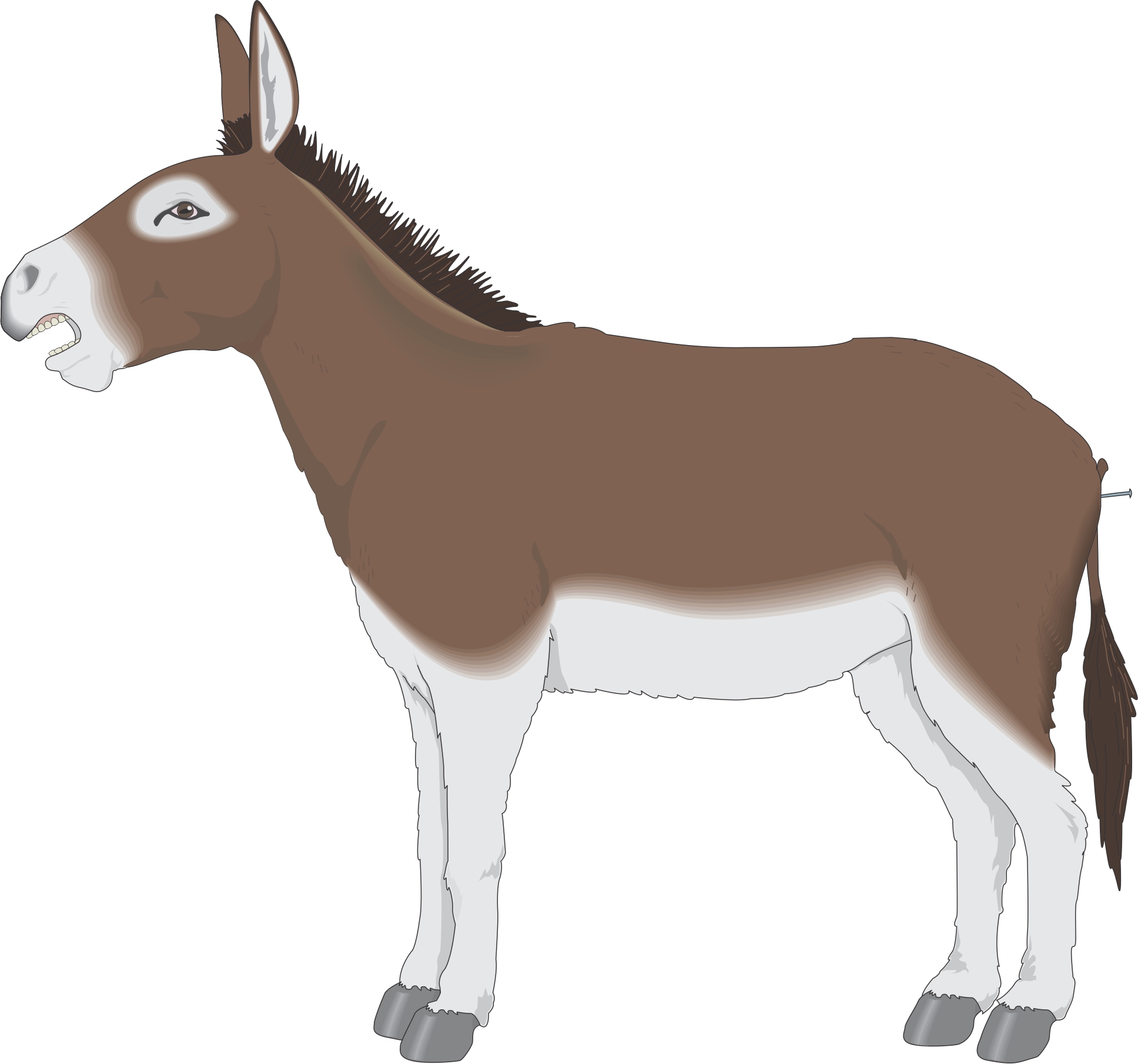 Back To Cartoon Clipart From Cartoon Donkey This List Of