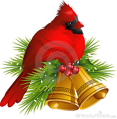 Cardinal Bird With Christmas Bells Stock Images   Image  21038314
