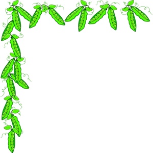     Clipart Image   Graphic Design Border Of Fresh Grown Peas On The Vine