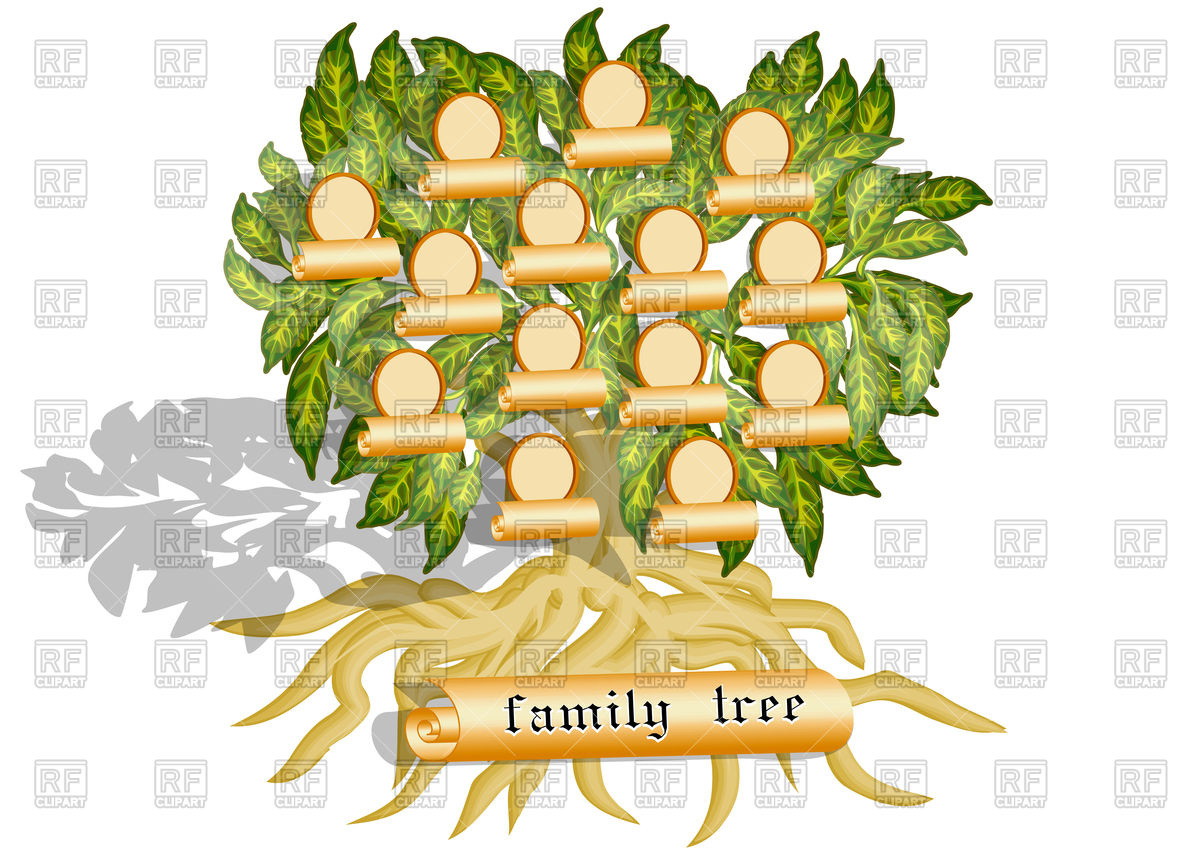 Design Elements   Family Tree Download Royalty Free Vector Clipart