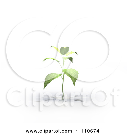     Green Plant Seed 1   Royalty Free Vector Clipart By Lineartestpilot
