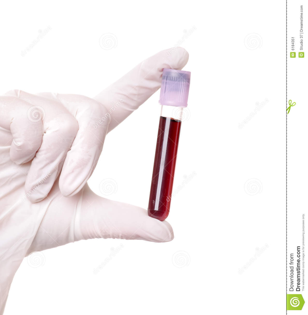 Hand Holding Blood In Test Tube Stock Image   Image  6184351