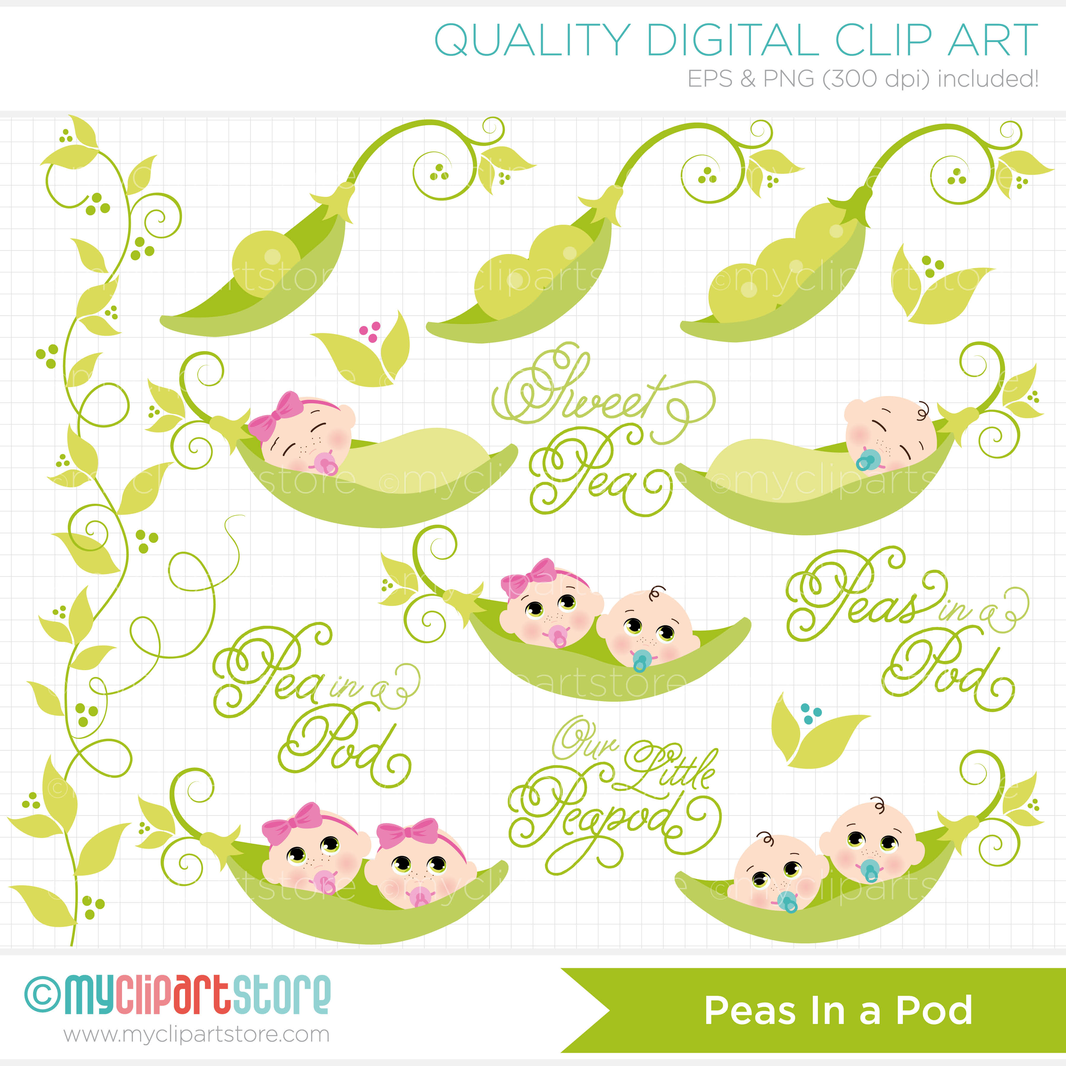     Pea Vine Clip Art Displaying 20 Images For Sweet Pea Vine Clip Art