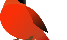 Red Cardinal Vector   Item 2