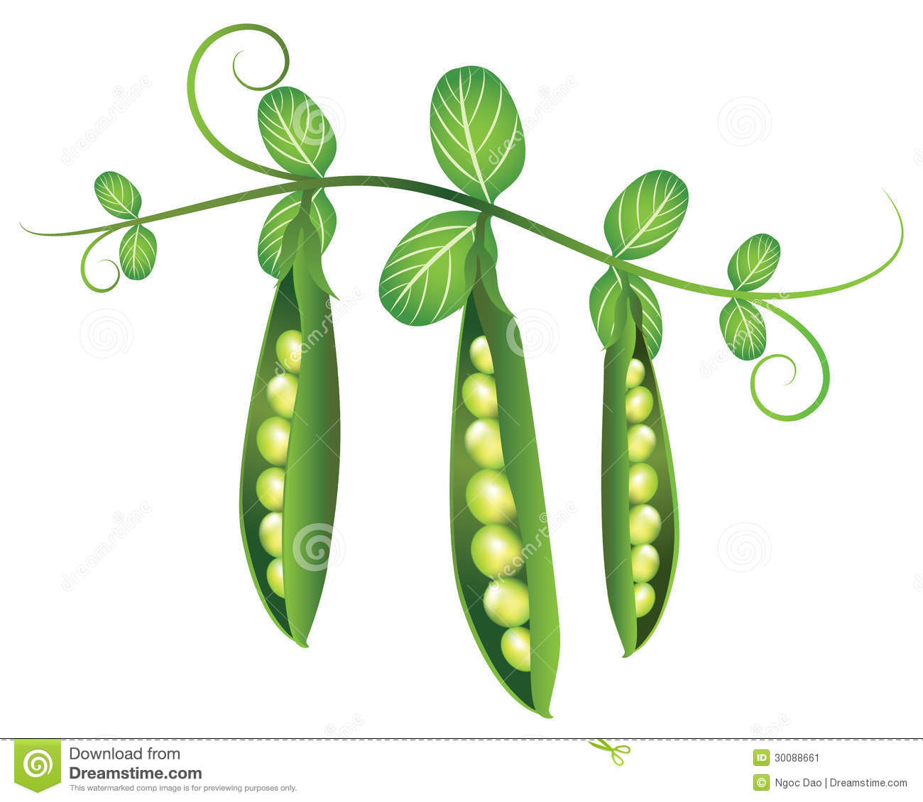 There Is 39 Triplet Pea Pod   Free Cliparts All Used For Free 