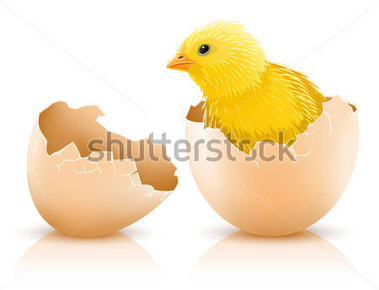 With Chicken Baby Inside Vector Illustration Stock Vector   Clipart Me