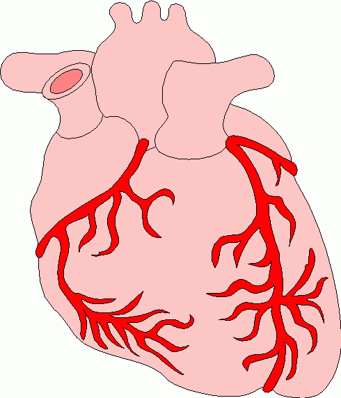 Heart Gif Selected Clipart  Heart Gif