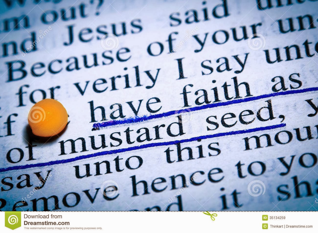 Mustard Seed Clip Art  New Testament Verses On Faith  View Original