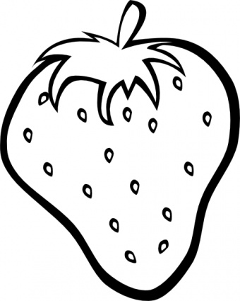 Outline Strawberry Clip Art Vector Free Vector Images   Vector Me