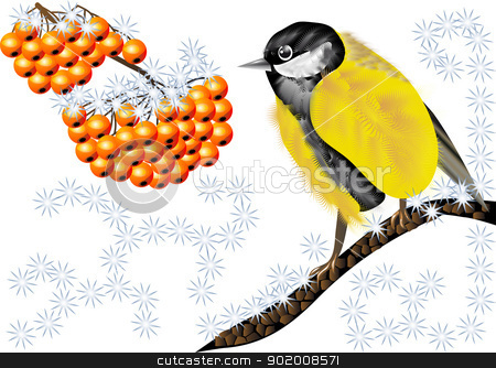 Bird And Winter Berries Stock Vector Clipart Bird And Winter Berries