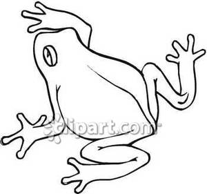 Black And White Frog Climbing   Royalty Free Clipart Picture