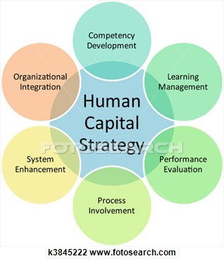 Clip Art   Human Capital Business Diagram  Fotosearch   Search Clipart