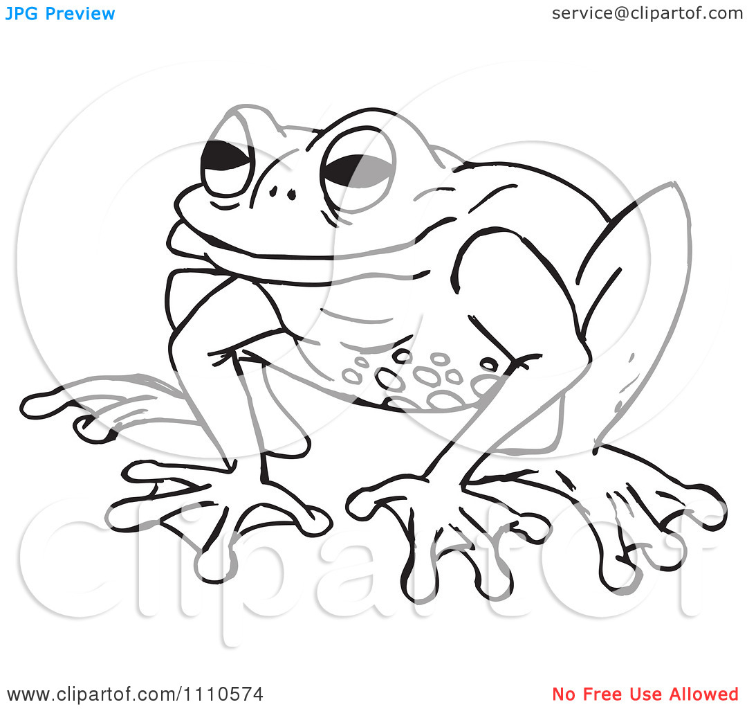 Clipart Black And White Frog   Royalty Free Illustration By Dennis