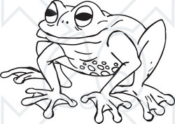 Clipart Black And White Frog   Royalty Free Illustration   Cartoonsof