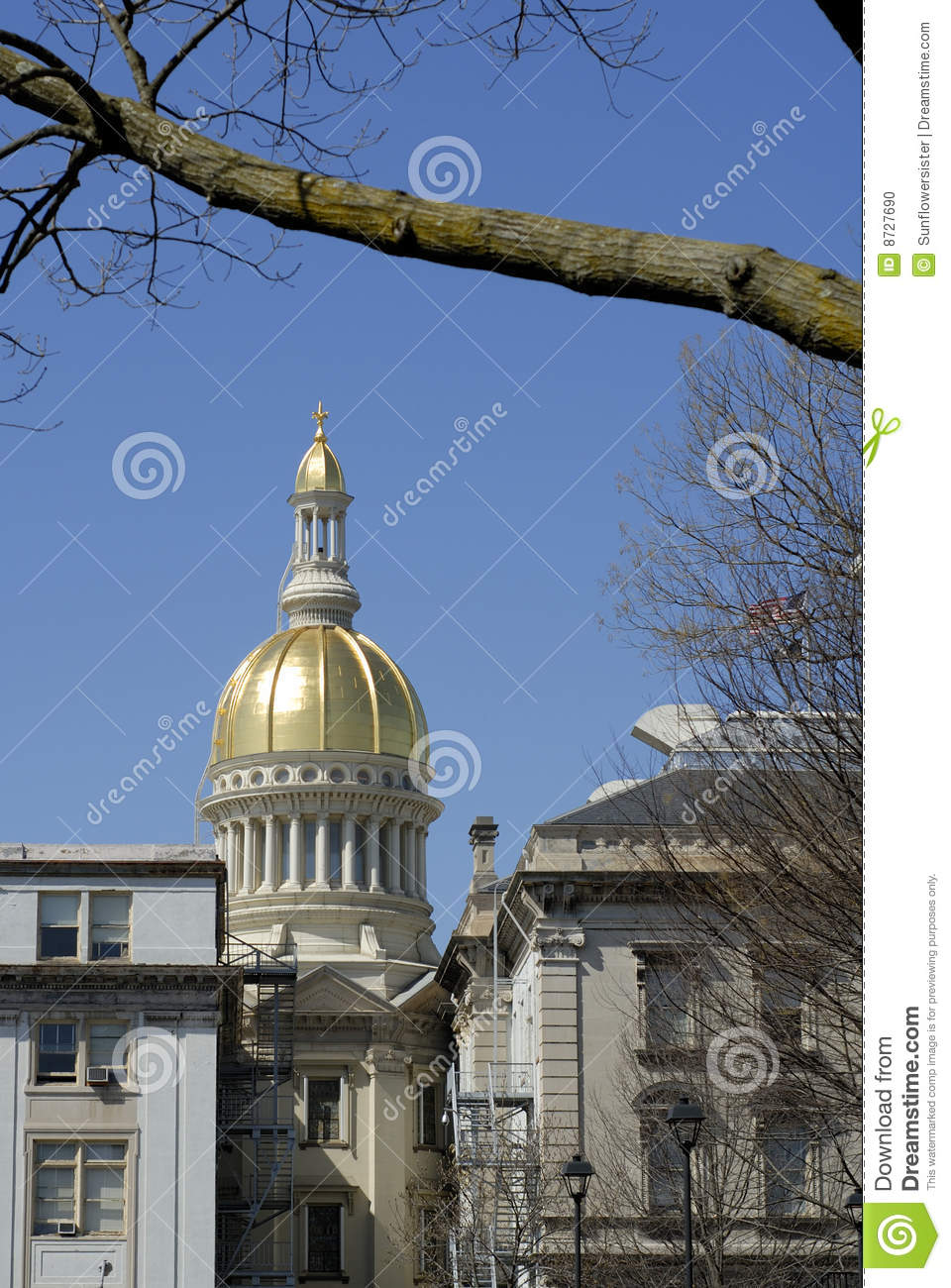 New Jersey State House In Trenton Stock Photo   Image  8727690
