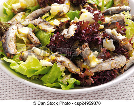 Chicken Salad   Csp24959370