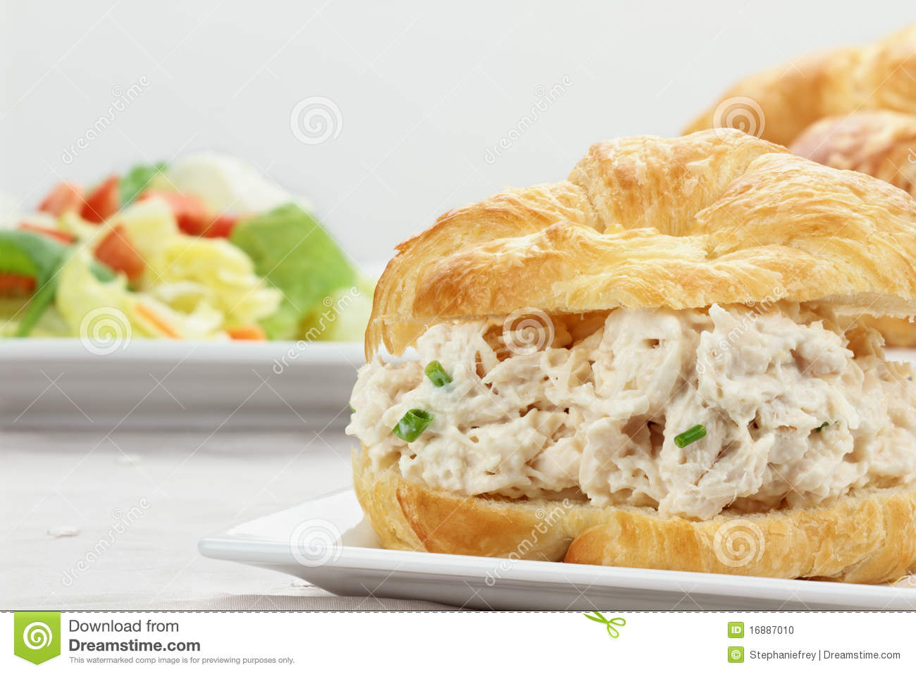 Chicken Salad On A Croissant Bun With A Healthy Salad 