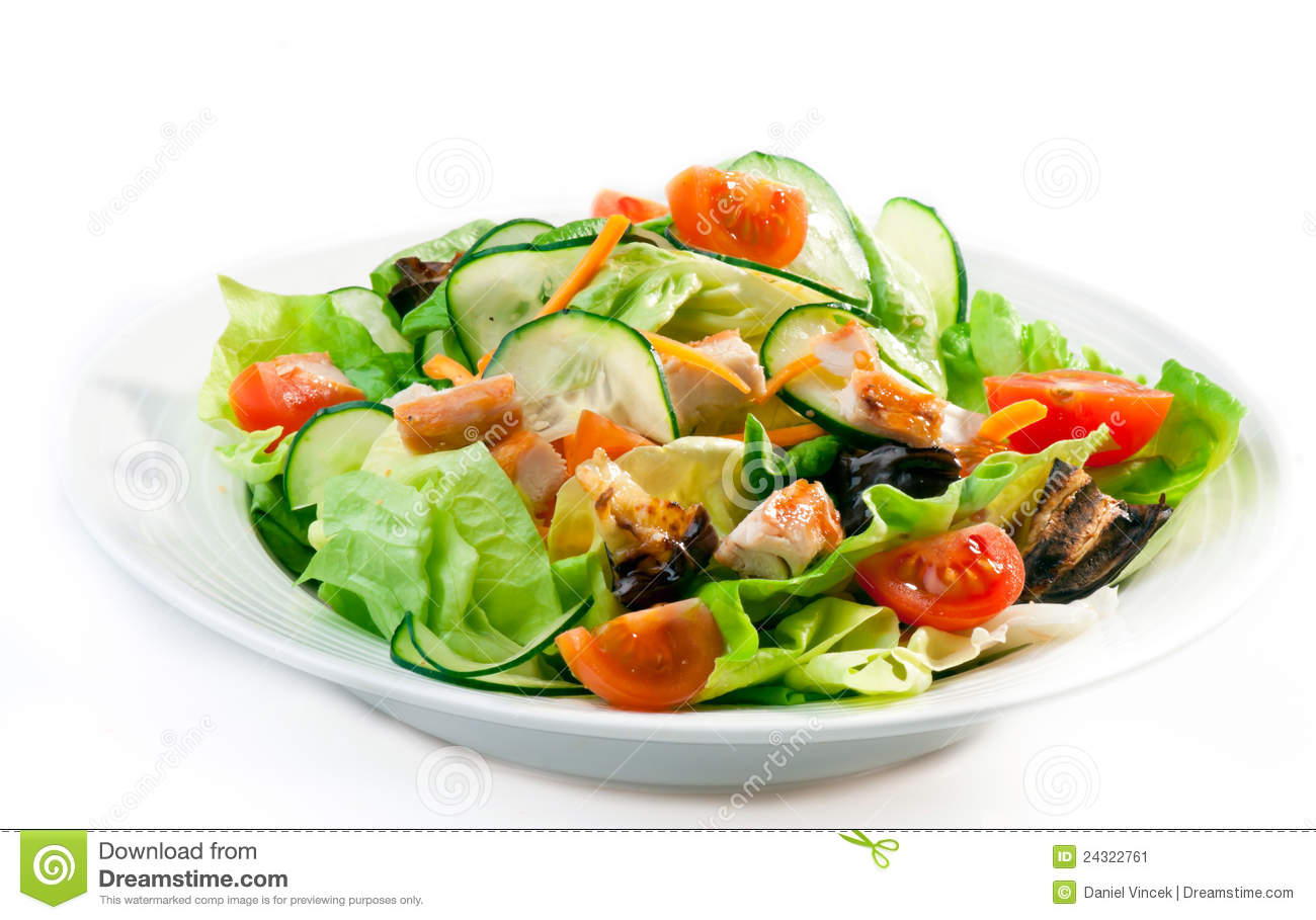 Chicken Salad Stock Image   Image  24322761
