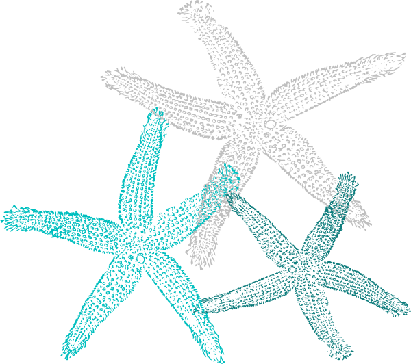 Multiple Teal Starfish Clip Art At Clker Com   Vector Clip Art Online    