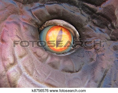 Stock Image   Dinosaur Eye  Fotosearch   Search Stock Photography    