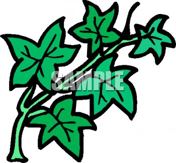 There Is 39 Funny Poison Oak   Free Cliparts All Used For Free 