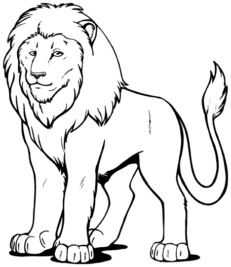 Clipart Lion Lion Clip Art Gif