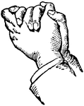 Expressive Hand Gestures   Clipart Etc