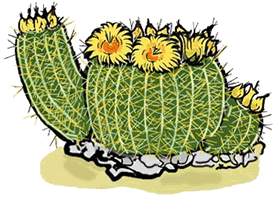 Full Version Of Flowering Barrel Cactus Clipart
