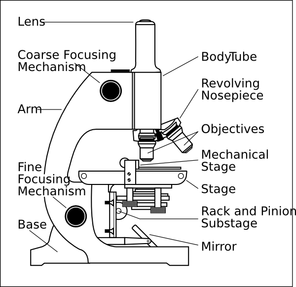 Microscope With Labels Clip Art At Clker Com   Vector Clip Art Online