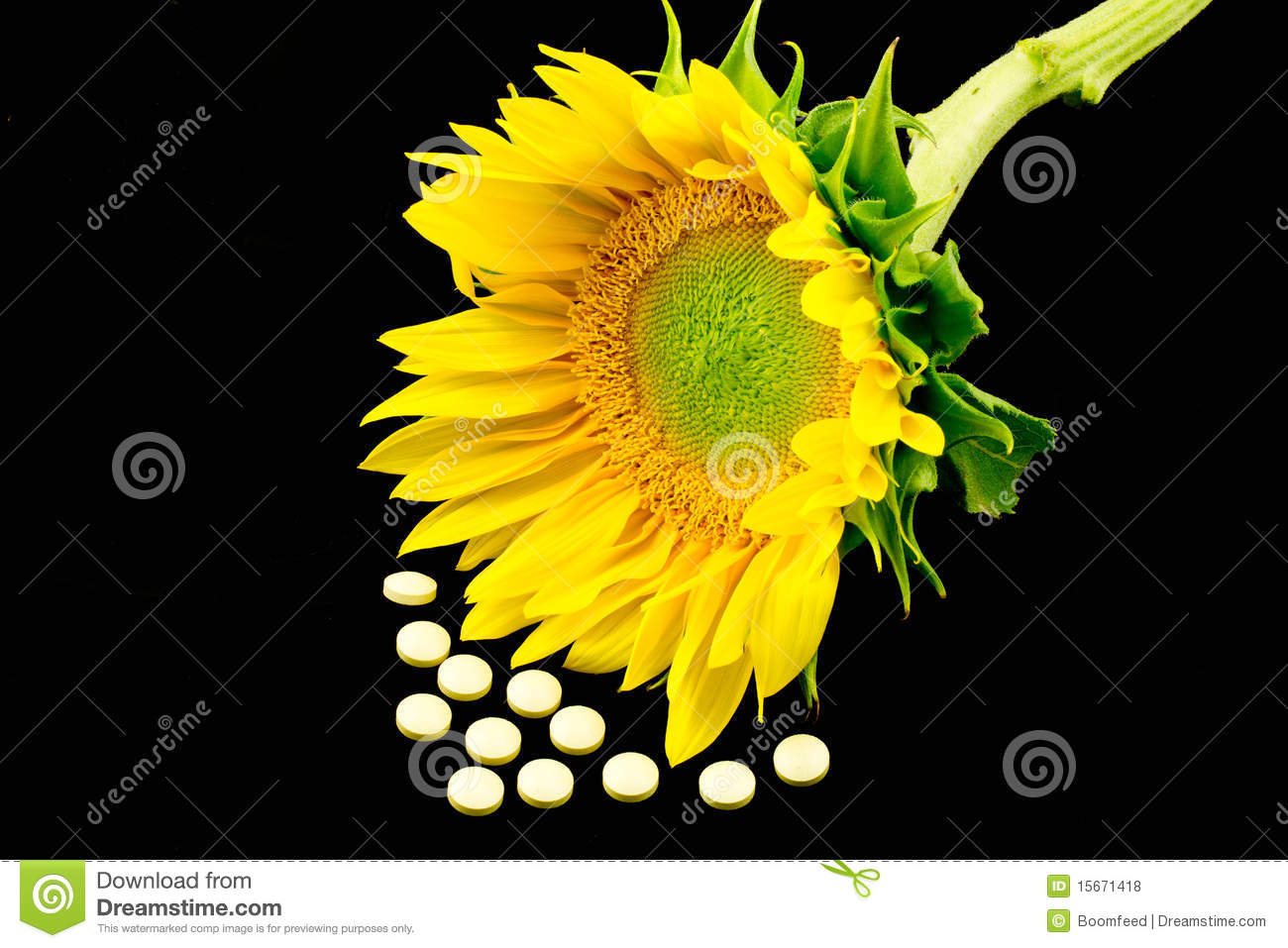 Vitamin D And Sunflower Royalty Free Stock Photos   Image  15671418