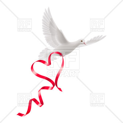 White Dove With Red Ribbon