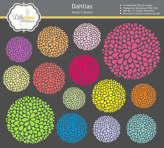 Dahlia Flower Clipart    Floral Png Images    Floral Graphics
