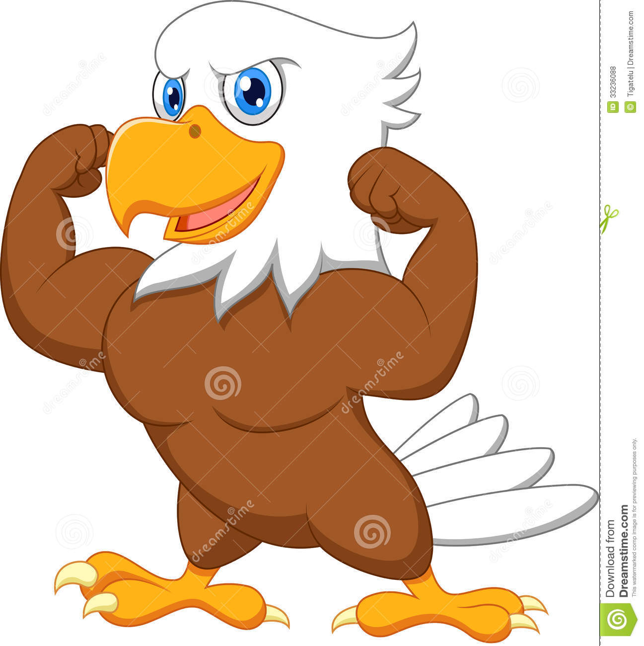 Strong Eagle Cartoon Royalty Free Stock Photos   Image  33236088