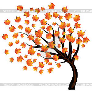 Autumn Maple Tree On Wind   Vector Image