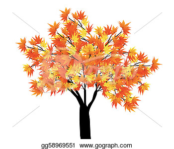 Drawing   Maple Tree  Clipart Drawing Gg58969551