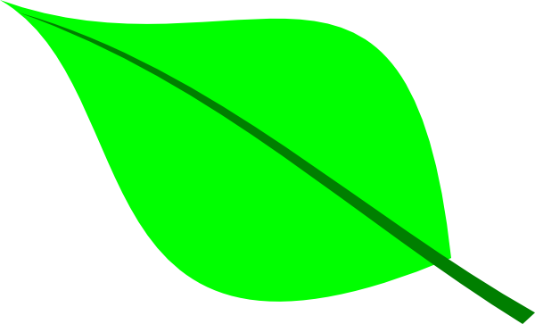 Green Leaf Clip Art At Clker Com   Vector Clip Art Online Royalty    