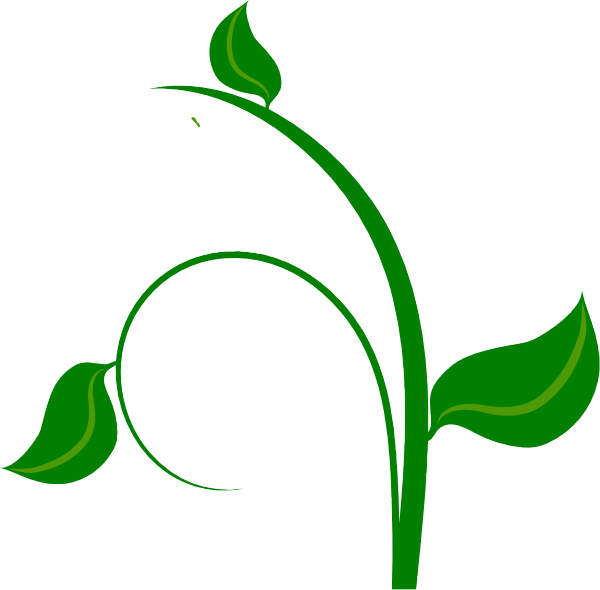Green Leaf Clip Art At Clker Com   Vector Clip Art Online Royalty    