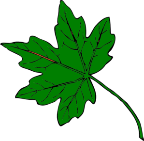 Green Maple Leaf Clipart   Clipart Panda   Free Clipart Images