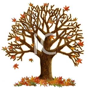 Maple Tree In Autumn   Royalty Free Clipart Picture